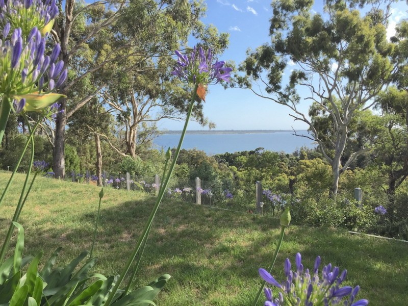 38 Beach Road, Metung VIC 3904