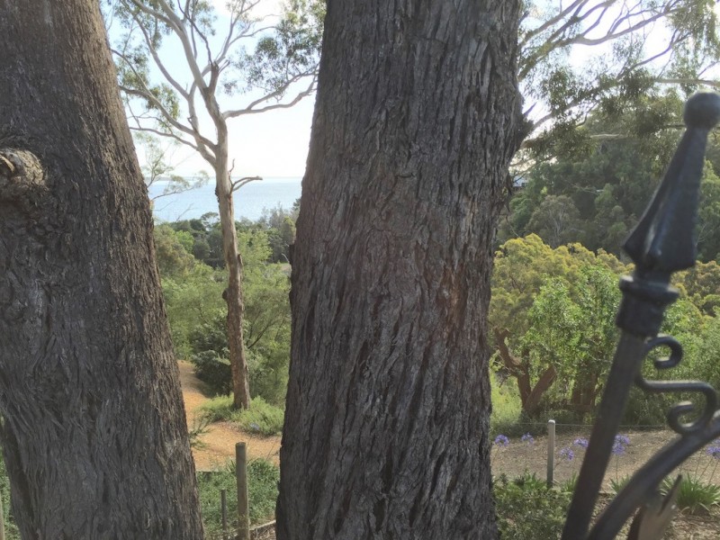 38 Beach Road, Metung VIC 3904