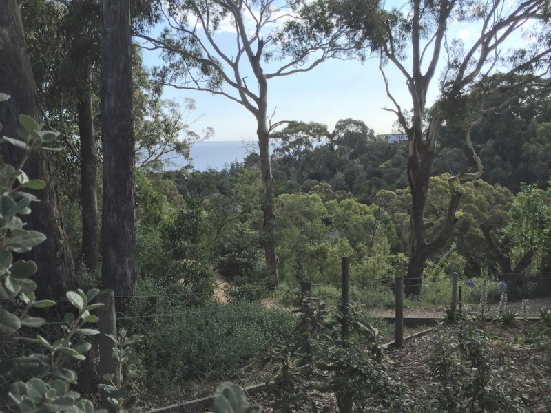 38 Beach Road, Metung VIC 3904