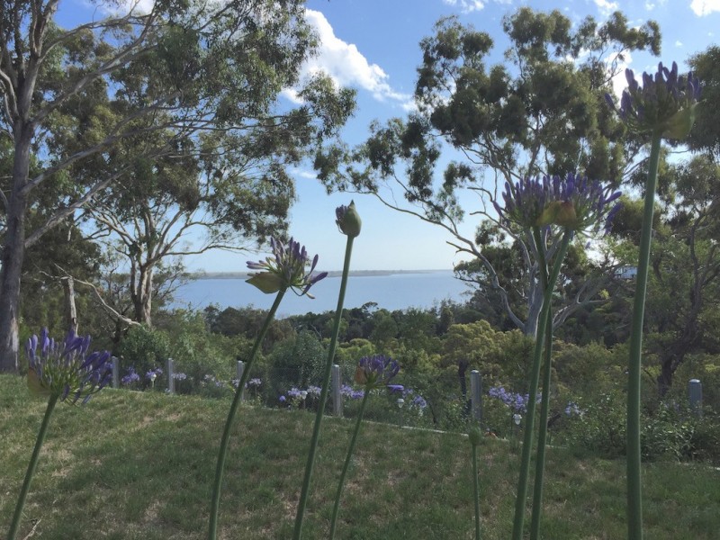 38 Beach Road, Metung VIC 3904