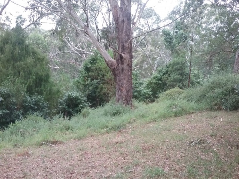 5 Bayview Court, Metung VIC 3904