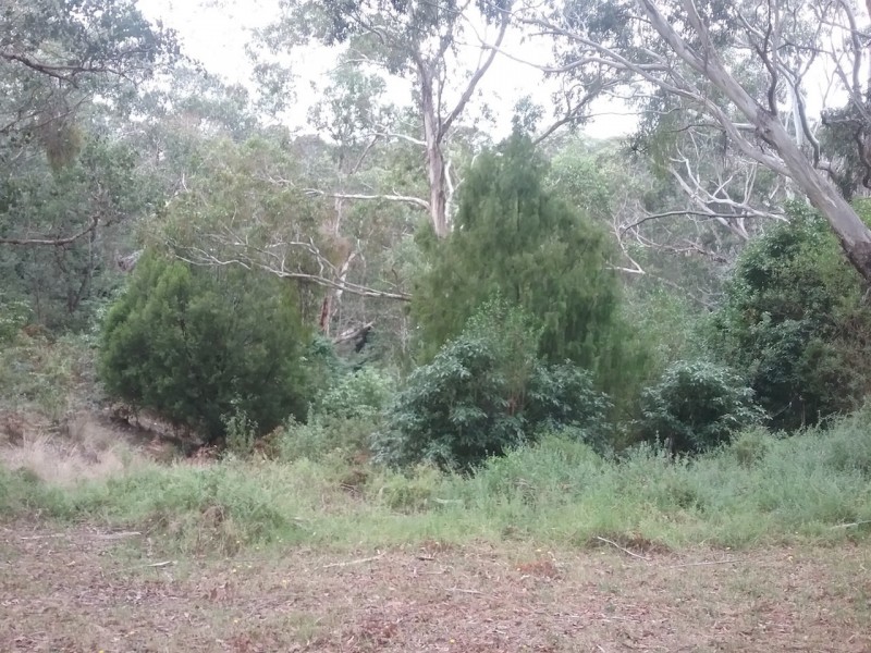 5 Bayview Court, Metung VIC 3904