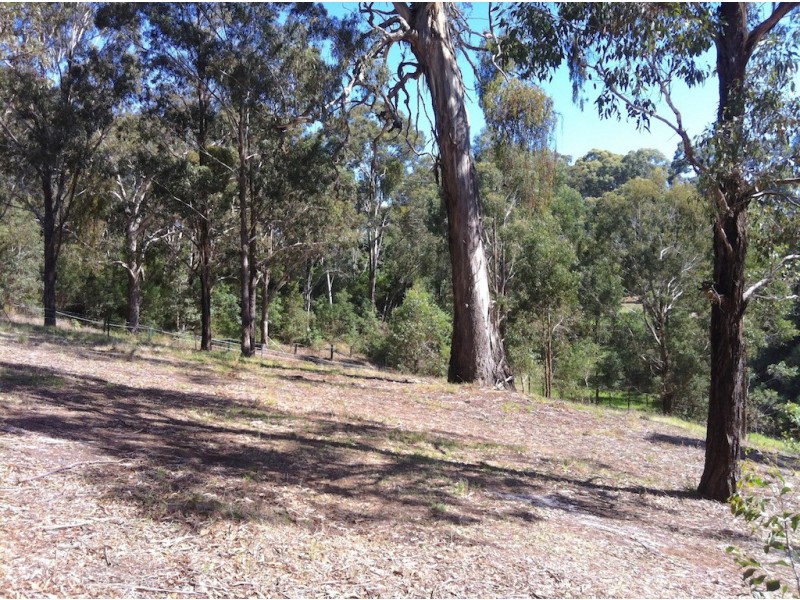 111a Cantrills Road, Metung VIC 3904