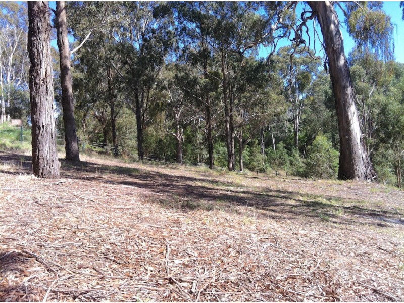 111a Cantrills Road, Metung VIC 3904