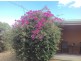 39 Broadlands Road, Metung VIC 3904