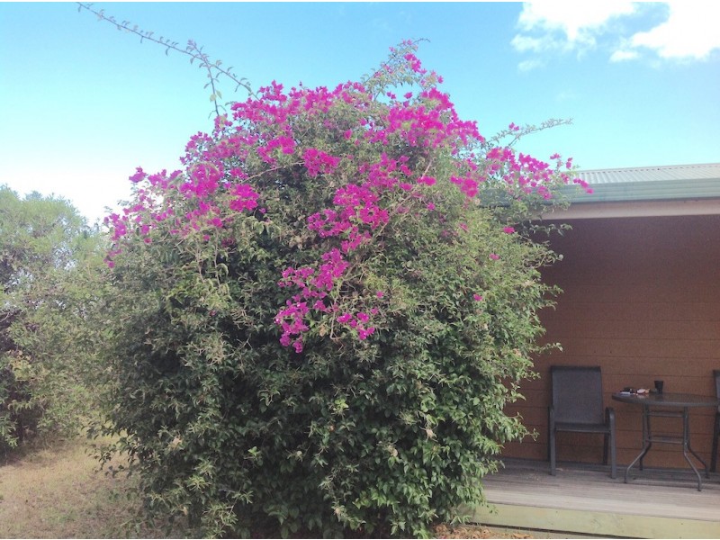 39 Broadlands Road, Metung VIC 3904