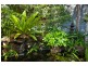 18 Redgate Road, South Golden Beach NSW 2483