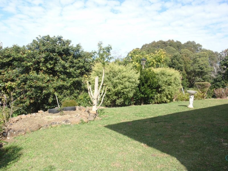 31 Yallakool Drive, Ocean Shores NSW 2483