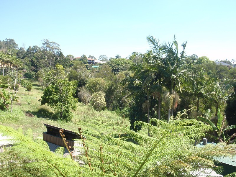 9 Wirruna Avenue, Ocean Shores NSW 2483