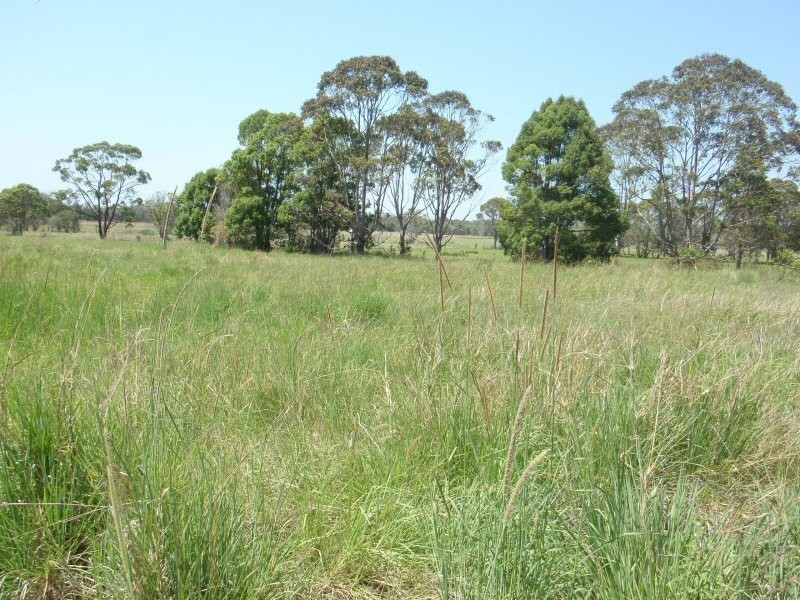 Lot 55 Fox’s Lane, Tyagarah NSW 2481