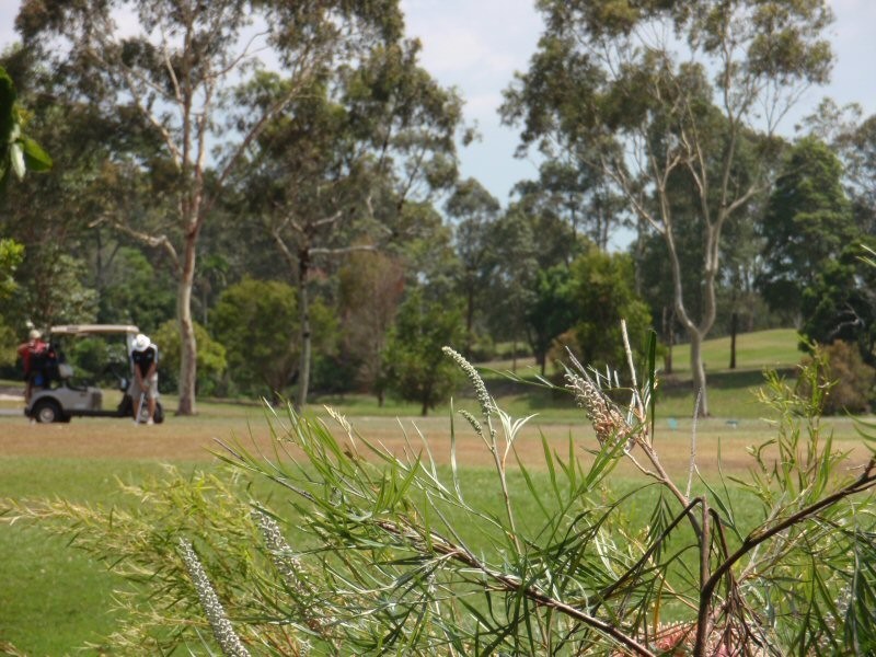 18 Narooma Drive, Ocean Shores NSW 2483