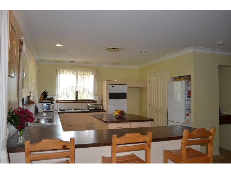 45 Azalea Street, Mullumbimby NSW 2482