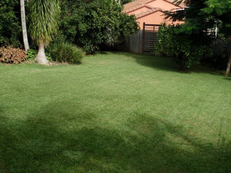 45 Azalea Street, Mullumbimby NSW 2482