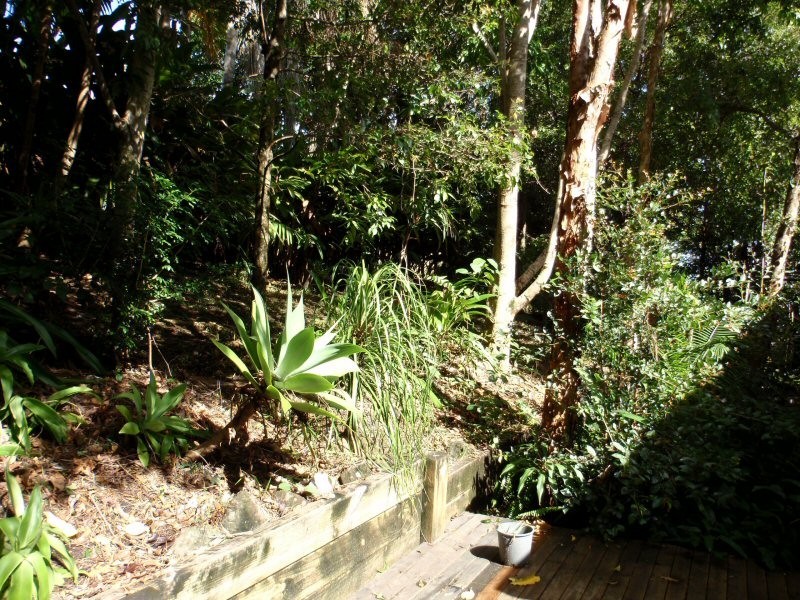 12 Dandaloo Way, Ocean Shores NSW 2483