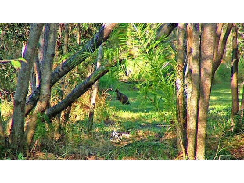 Lot 1/ Byron Street, New Brighton NSW 2483