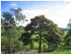 Crabbes Creek NSW 2483