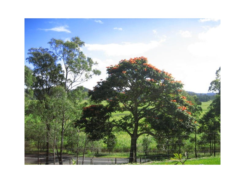Crabbes Creek NSW 2483