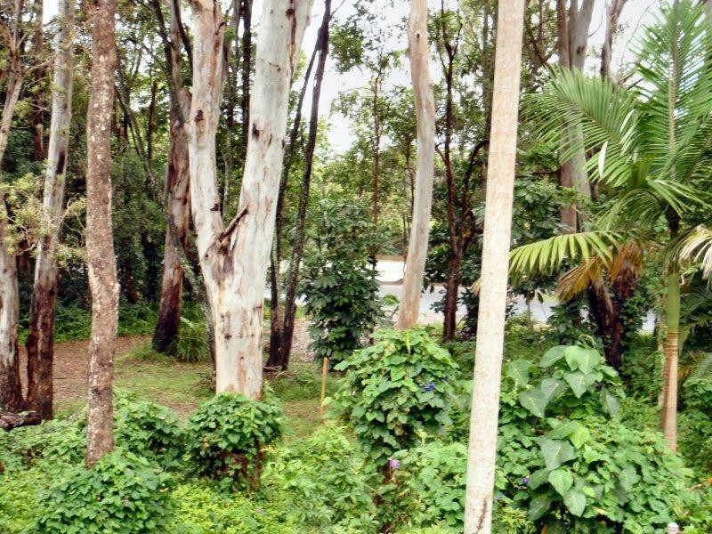 58 New Brighton Road, New Brighton NSW 2483