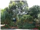15 Rangal Road, Ocean Shores NSW 2483