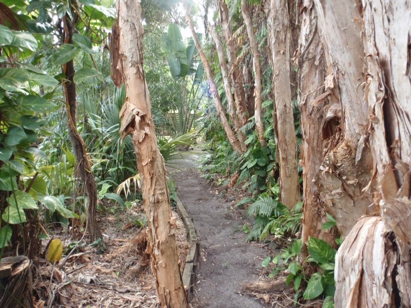 20 Peter Street, South Golden Beach NSW 2483