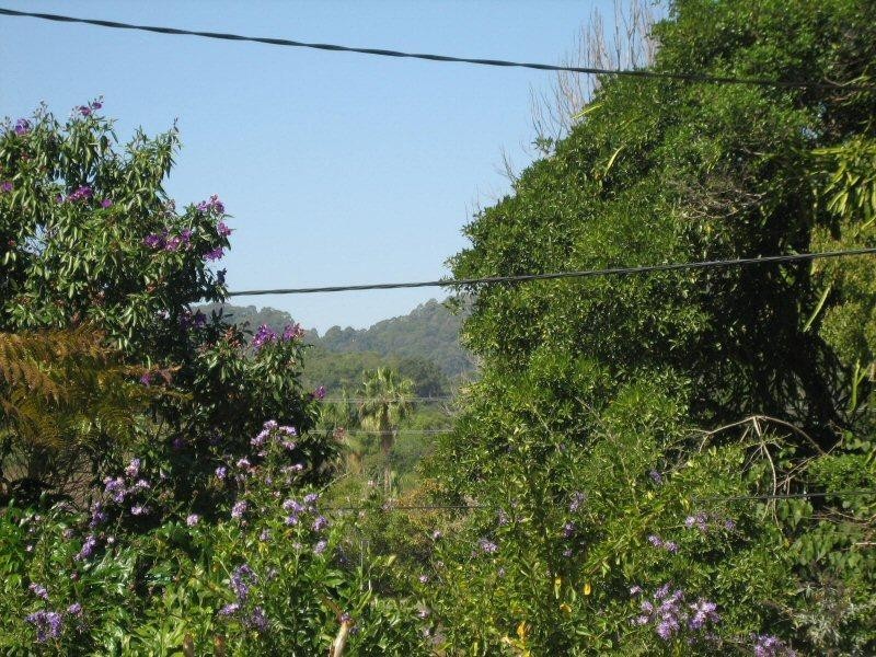 36 Station Street, Burringbar NSW 2483