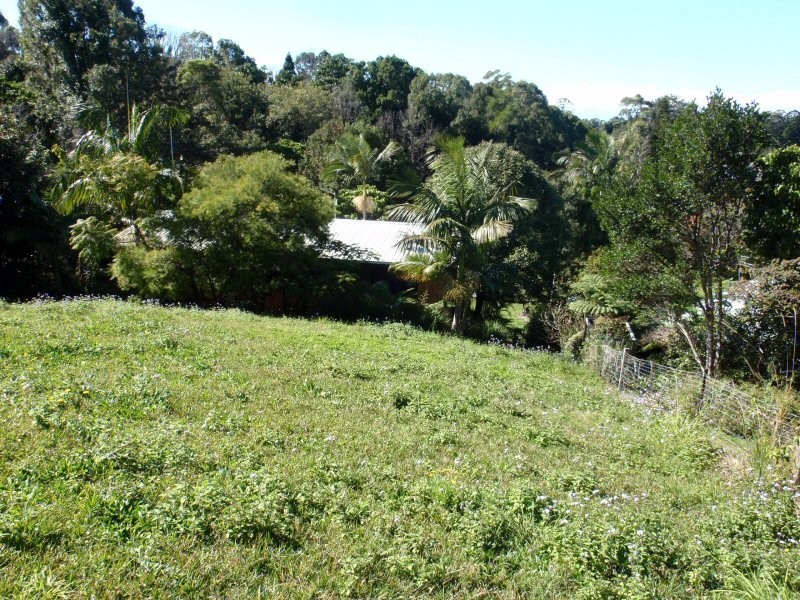 11 INDERWONG AVENUE, Ocean Shores NSW 2483