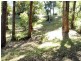 32 Matong Drive, Ocean Shores NSW 2483