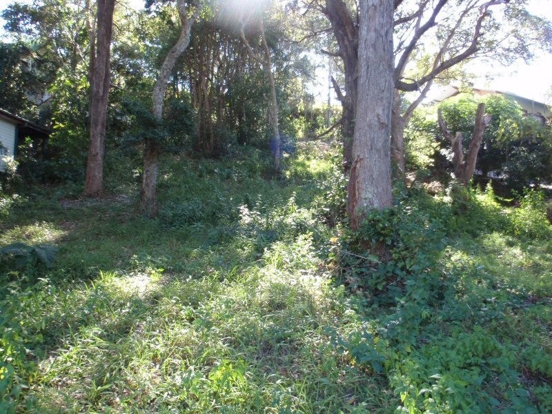 47 Rajah Road, Ocean Shores NSW 2483