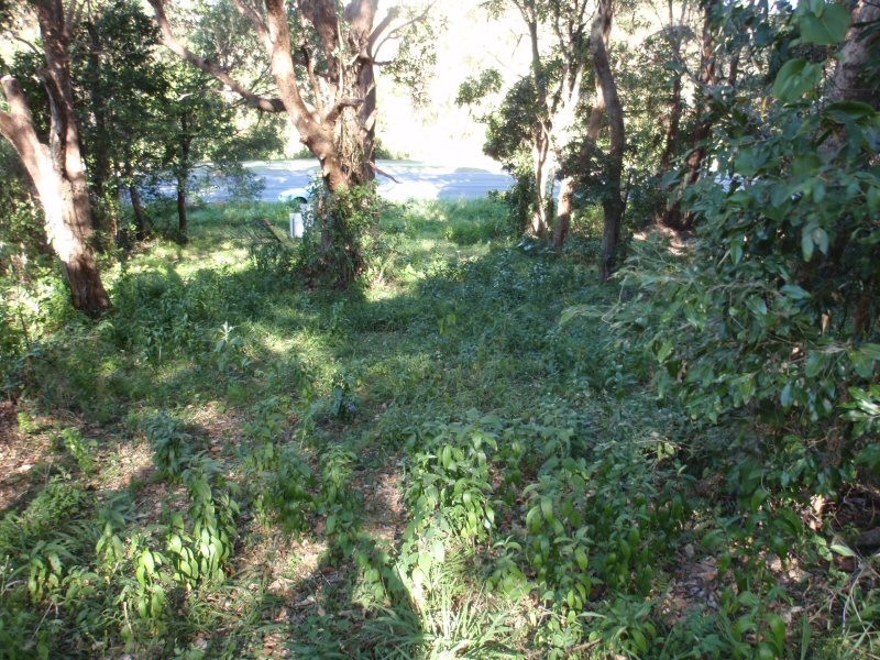 47 Rajah Road, Ocean Shores NSW 2483