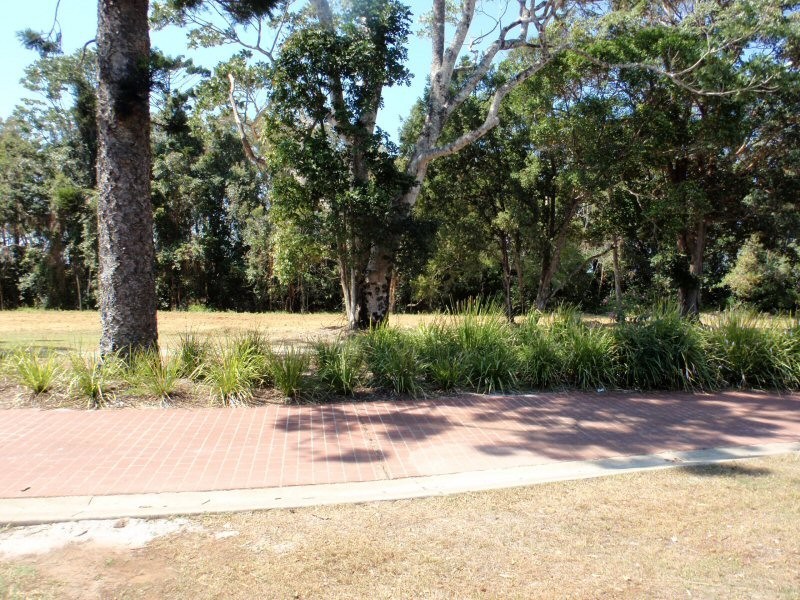 1/2 Gahwang Court, Ocean Shores NSW 2483