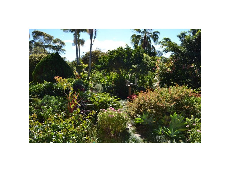 5 Wirree Drive, Ocean Shores NSW 2483