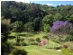 684 Left Bank Road, Mullumbimby Creek NSW 2482