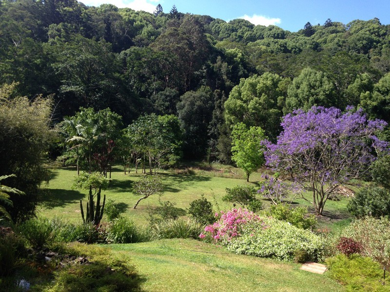 684 Left Bank Road, Mullumbimby Creek NSW 2482