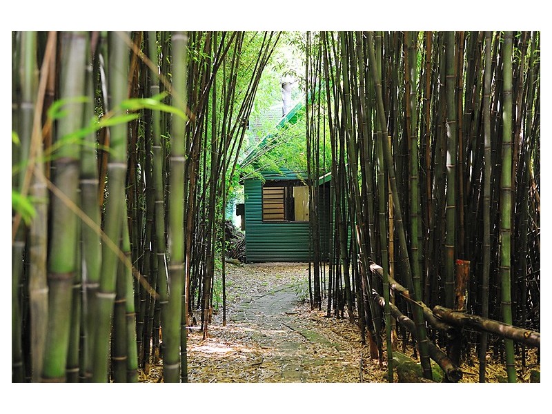 684 Left Bank Road, Mullumbimby Creek NSW 2482