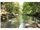 684 Left Bank Road, Mullumbimby Creek NSW 2482