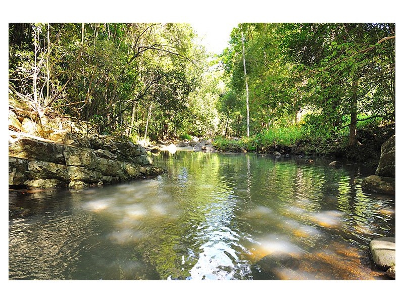 684 Left Bank Road, Mullumbimby Creek NSW 2482
