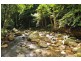 684 Left Bank Road, Mullumbimby Creek NSW 2482