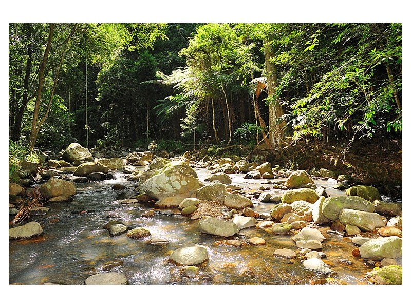 684 Left Bank Road, Mullumbimby Creek NSW 2482