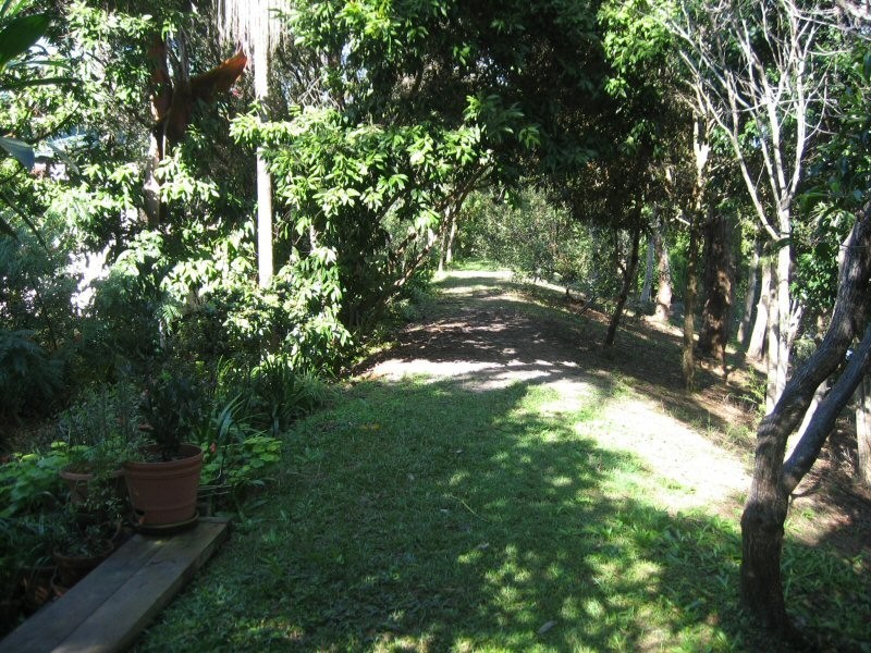 38 Robin Street, South Golden Beach NSW 2483