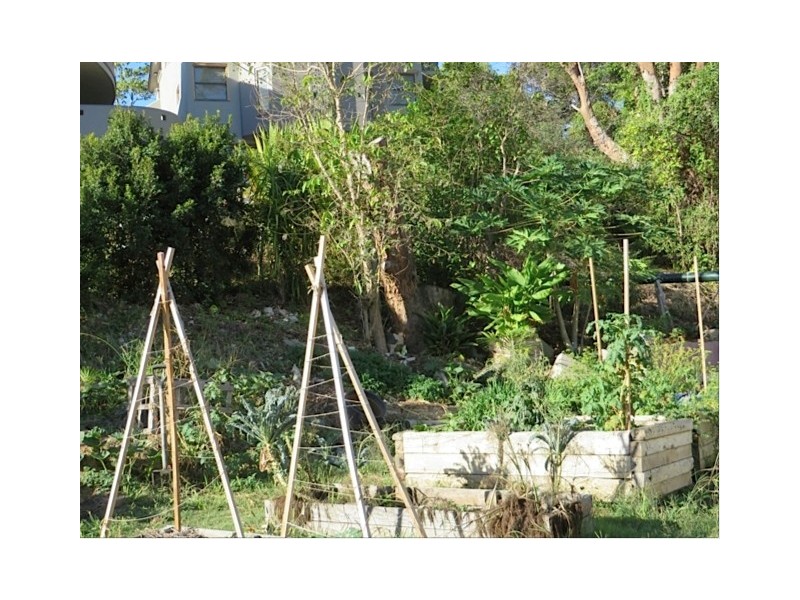 Ocean Shores NSW 2483