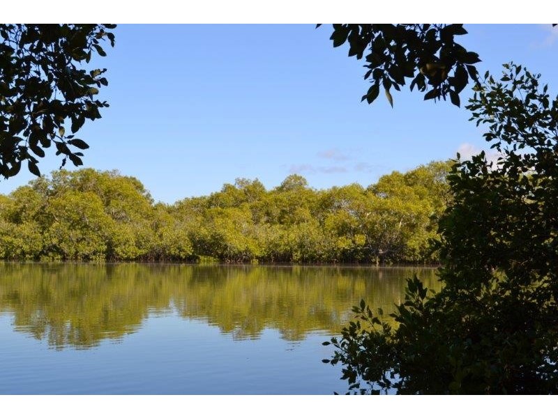 15 Pacific Street, New Brighton NSW 2483