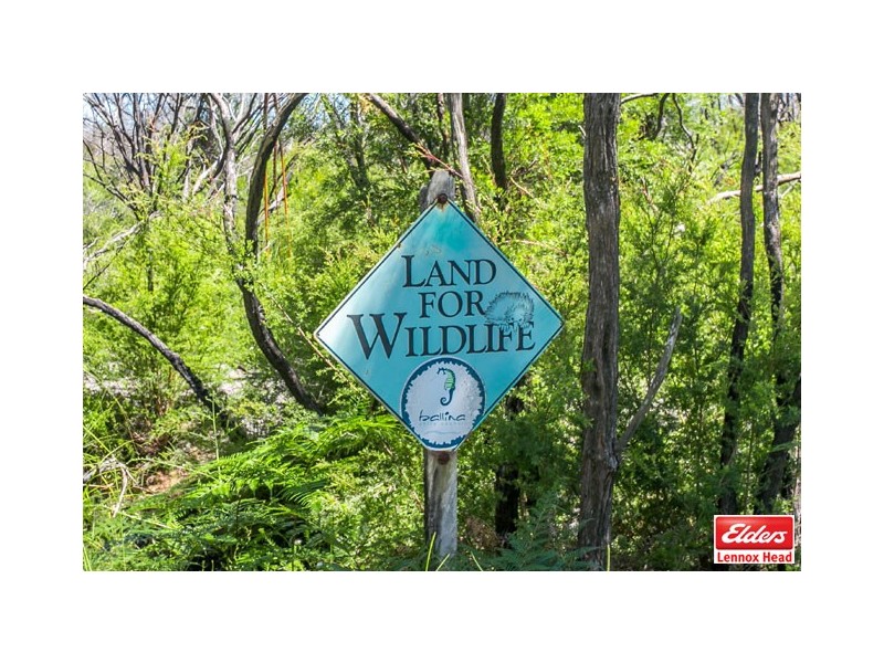 42 TOBIN CLOSE, Lennox Head NSW 2478