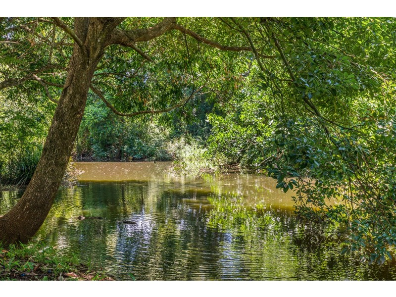 24 Fernleigh Road, Fernleigh NSW 2479