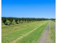 461 Newrybar Swamp Road, Newrybar NSW 2479