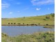461 Newrybar Swamp Road, Newrybar NSW 2479