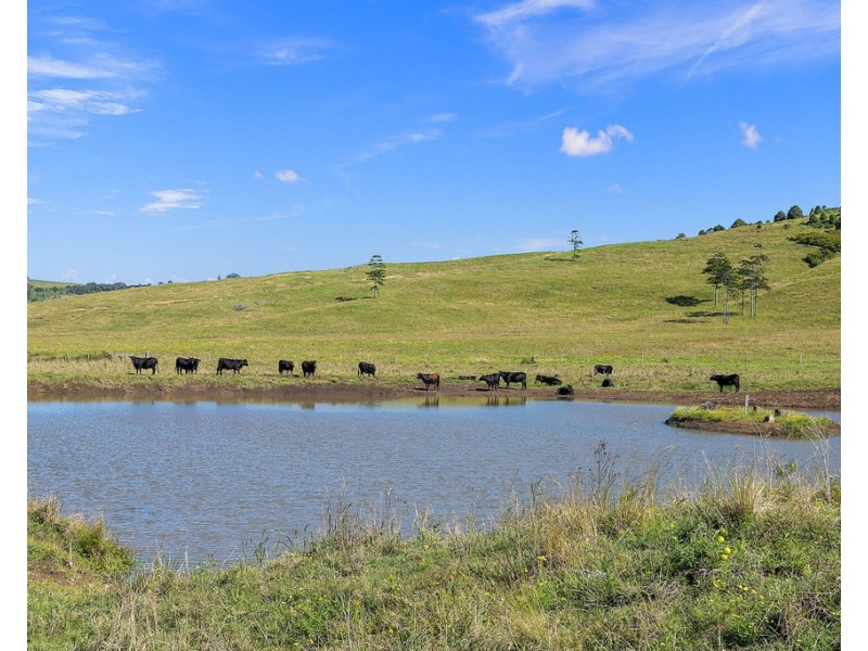 461 Newrybar Swamp Road, Newrybar NSW 2479