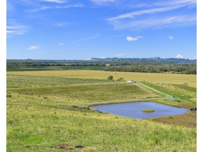 461 Newrybar Swamp Road, Newrybar NSW 2479