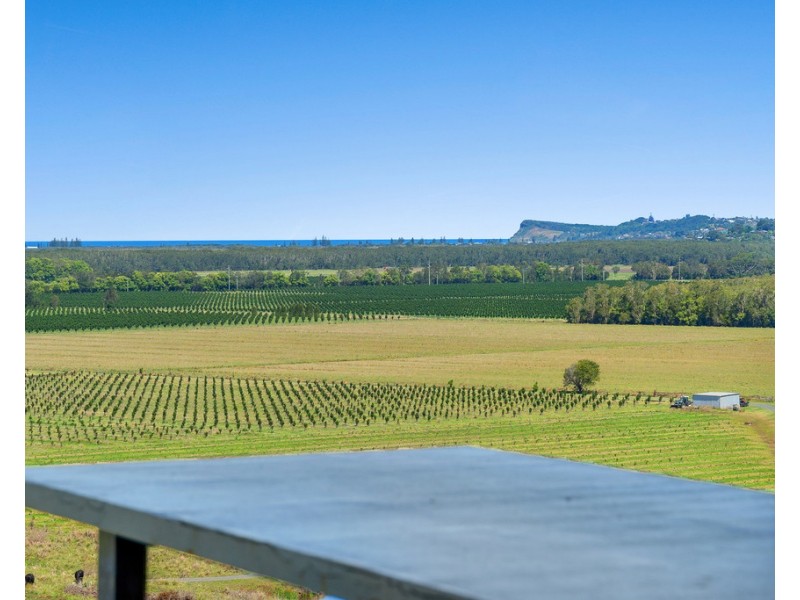 461 Newrybar Swamp Road, Newrybar NSW 2479