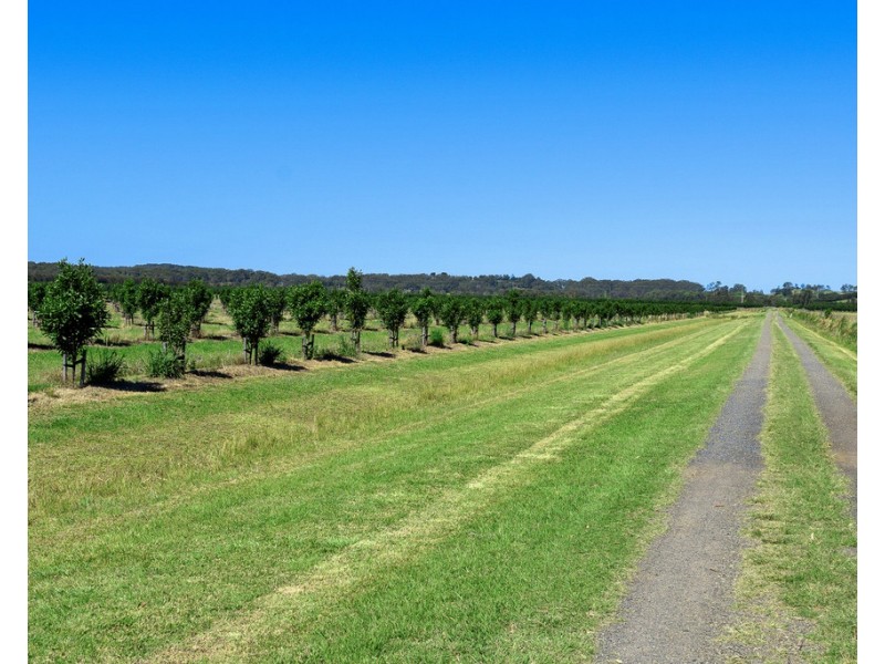 461 Newrybar Swamp Road, Newrybar NSW 2479