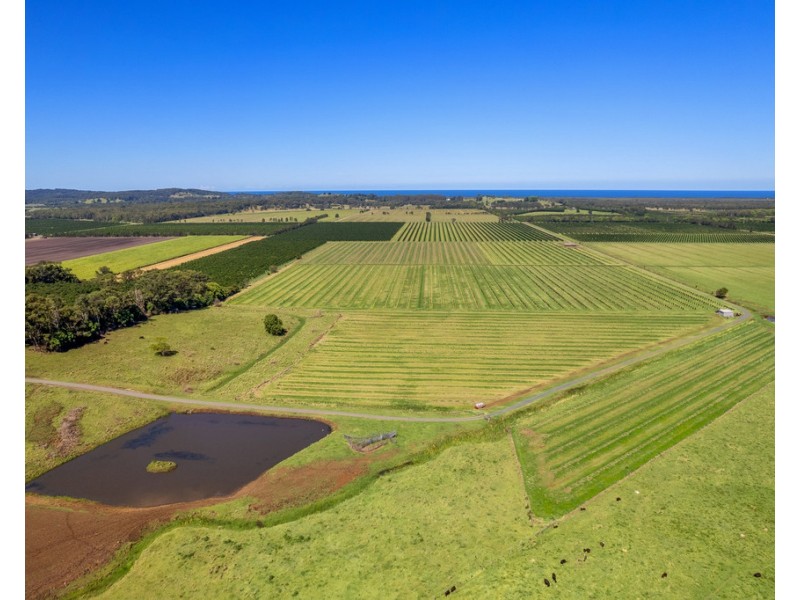 461 Newrybar Swamp Road, Newrybar NSW 2479